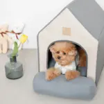 エコレザー組み立てハウス クッション付き