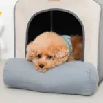 エコレザー組み立てハウス クッション付き