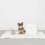 キルティング刺繍マルチボックス【名入れ刺繍対応】