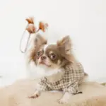 ファーフラワーペットベッドマット