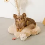 ファーフラワーペットベッドマット