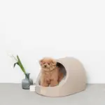 エコレザー洞窟ハウス