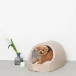 エコレザー洞窟ハウス