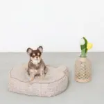 くまさんフェイスドッグベッド