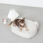 くまさんフェイスドッグベッド