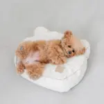 くまさんフェイスドッグベッド