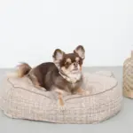 くまさんフェイスドッグベッド