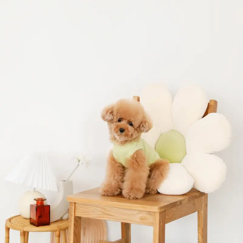 リブフラワークッション