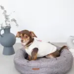 グラフチェッククッションベッド(ピローセット)