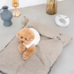 メランジペットマットベッド