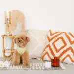 ジグザグフリンジクッション