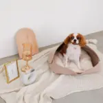 ウッドセミサークルトレイ