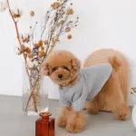 ウッドセミサークルトレイ