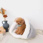 ドーム型ボアハウス