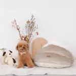 ドーム型ボアハウス