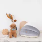 ドーム型ボアハウス