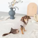 ベッドスローブランケット タッセル付