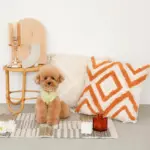 トライアングル柄フリンジクッション