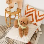 トライアングル柄フリンジクッション