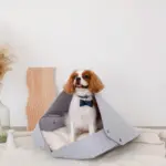 ウッドシェープトレイ