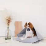 クッション付フェルトベッド