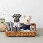 スクエアラタンベッド　クッション付き