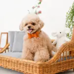 スクエアラタンベッド　クッション付き