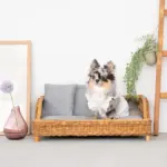 スクエアラタンベッド　クッション付き