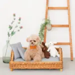 スクエアラタンベッド　クッション付き