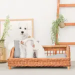 スクエアラタンベッド　クッション付き