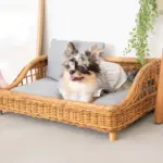 スクエアラタンベッド　クッション付き