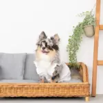 スクエアラタンベッド　クッション付き