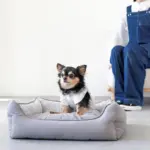 リバーシブルクッションストライプベッド