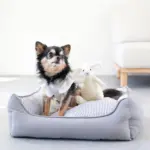 リバーシブルクッションストライプベッド