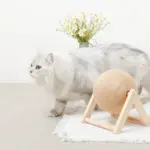 くるくる回転爪とぎ