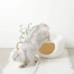 ドーム型キャットハウス