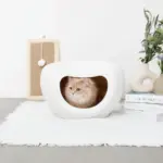 ドーム型キャットハウス