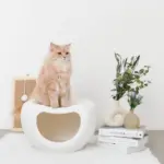 ドーム型キャットハウス