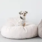 ふんわりクッションベッド