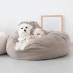 ふんわりクッションベッド