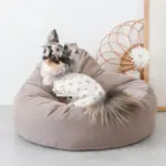 ふんわりクッションベッド