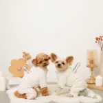 遠赤外線ギンガムチェックロンパースハーネス