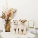 遠赤外線ギンガムチェックロンパースハーネス