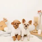 遠赤外線ギンガムチェックロンパースハーネス