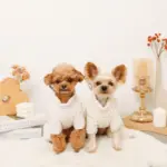 遠赤外線ギンガムチェックロンパースハーネス