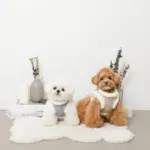 スノー刺繍ハーネス+リードSET【名入れ刺繍対応】