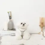 ツイードチェックファーハーネス+リードSET【名入れ刺繍対応】