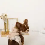 くまさんギンガムチェックおんぶハーネス+リードSET【名入れ刺繍対応】