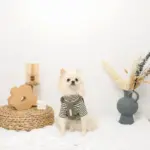 PUレザー×ワッフルハーネス