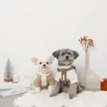 PUレザー×ワッフルハーネス